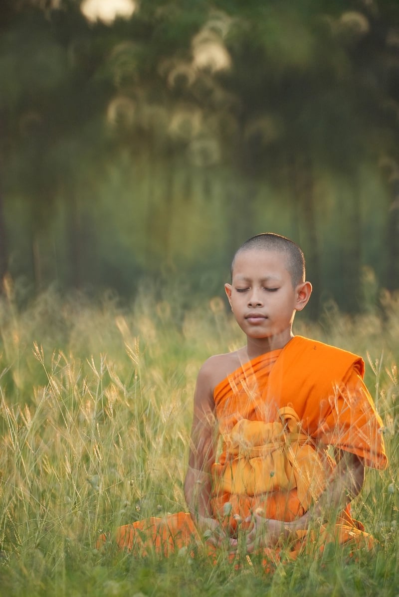 India Yoga Retreat