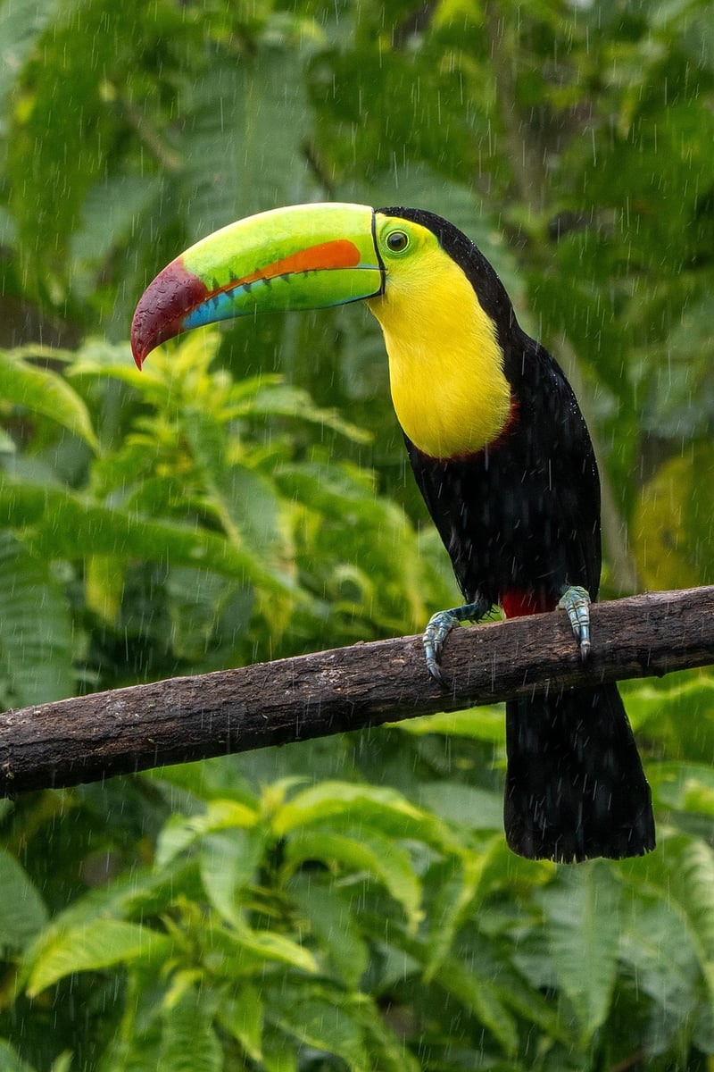 Costa Rica Yoga Retreat